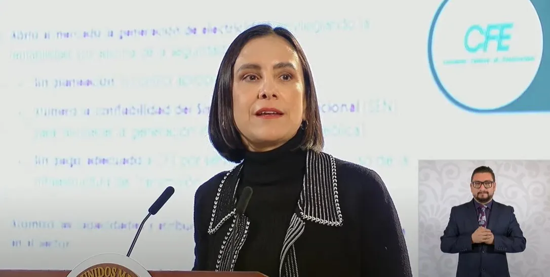 REFORMA ENERGÉTICA - LUZ ELENA